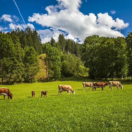 Apartamento Oergenbauer *