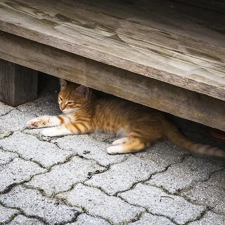 Apartamento Oergenbauer Saalfelden