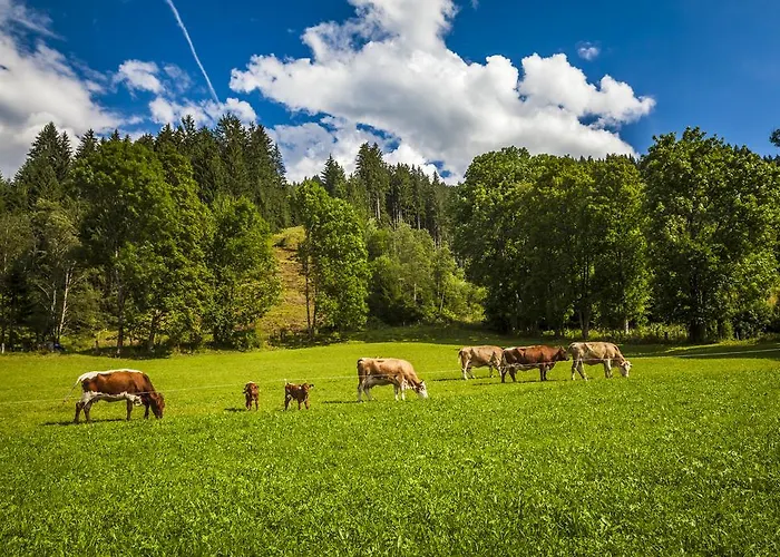 Apartman Oergenbauer *