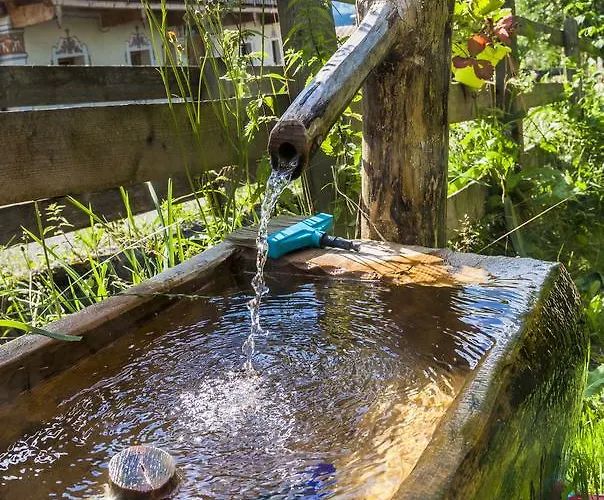 Apartman Oergenbauer *